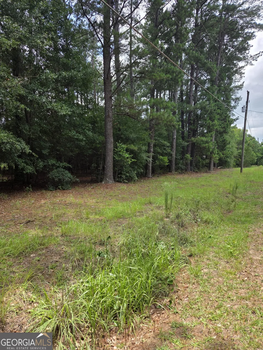 0 Fairway Lane Hawkinsville, GA 31036