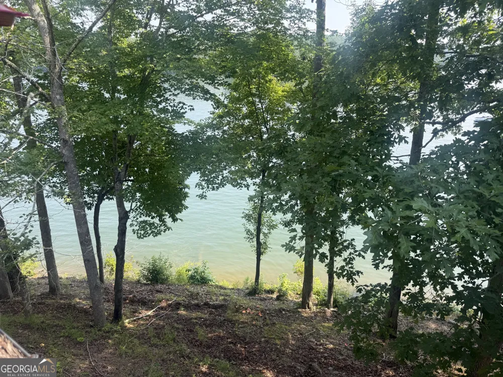 372 Pope Lane Wedowee, AL 36278