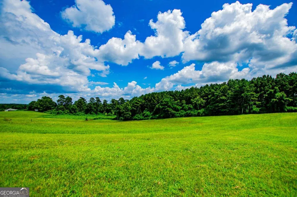 225 Hilltop RD Roopville, GA 30170