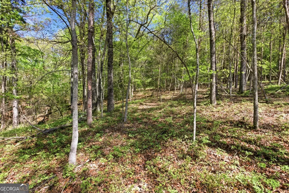 1655 Pardue Mill RD Demorest, GA 30535