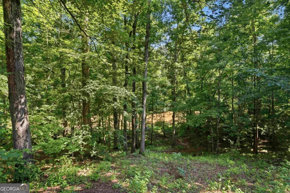 216 River Oak DR Eatonton, GA 31024