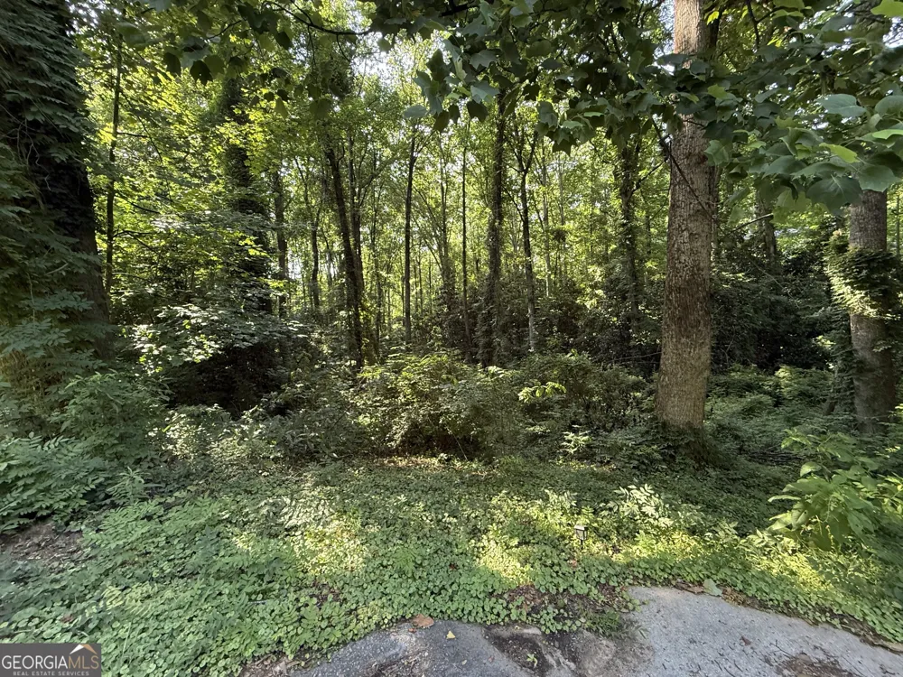 1541 Withmoor TER Austell, GA 30168