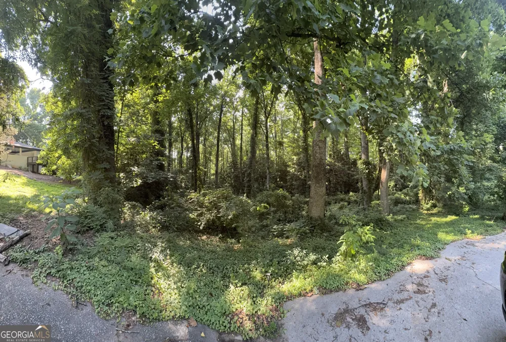 1541 Withmoor TER Austell, GA 30168