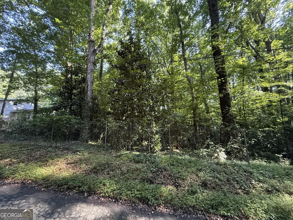 1541 Withmoor TER Austell, GA 30168