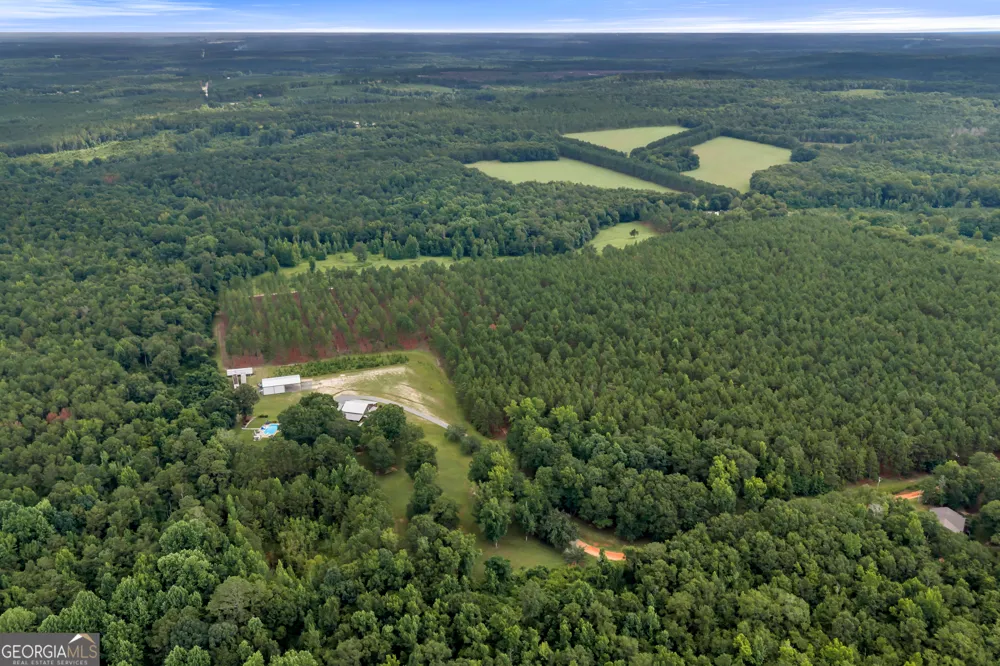 20 Hurst RD Ellaville, GA 31806