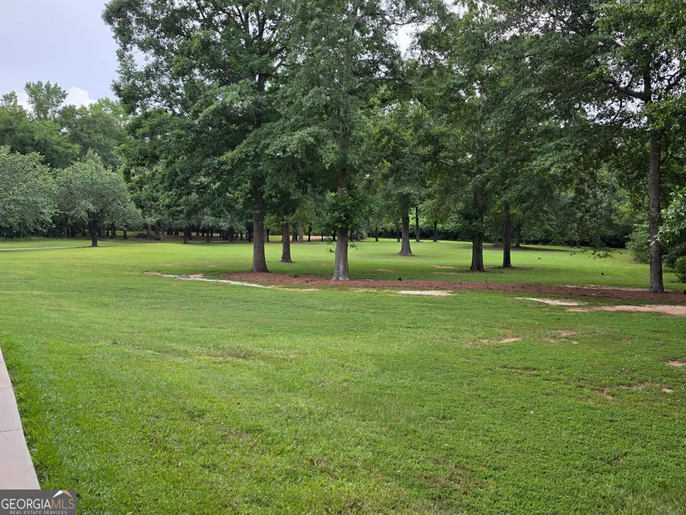 20 Hurst RD Ellaville, GA 31806
