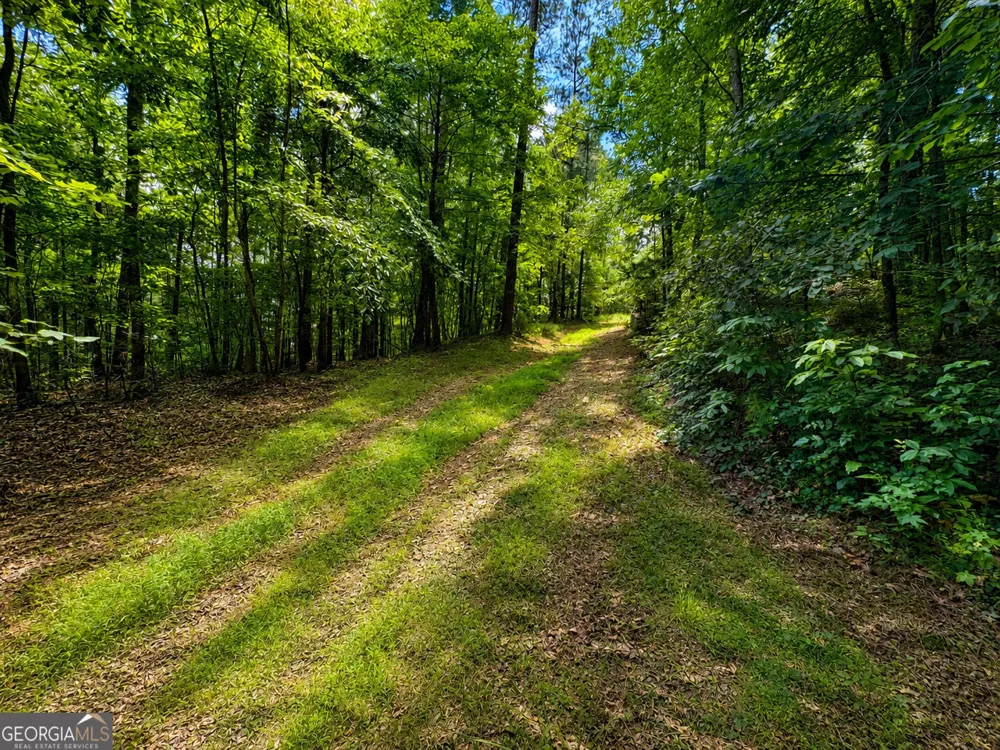 30 Cornish Trace DR Covington, GA 30014