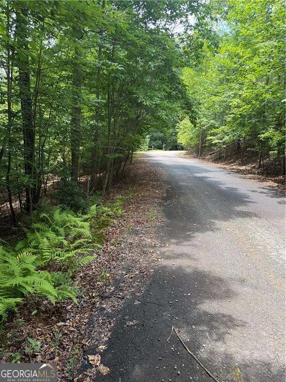 13 Pinnacle CT Blairsville, GA 30512