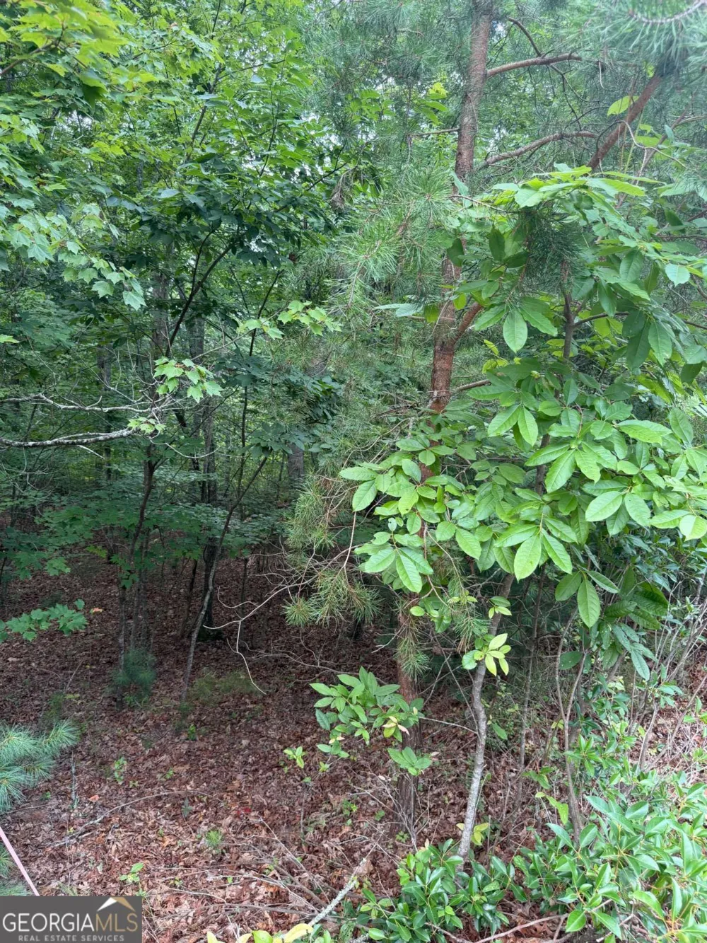 13 Pinnacle CT Blairsville, GA 30512