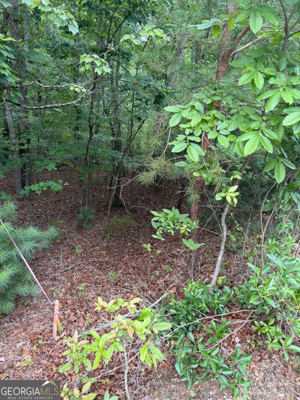 13 Pinnacle CT Blairsville, GA 30512