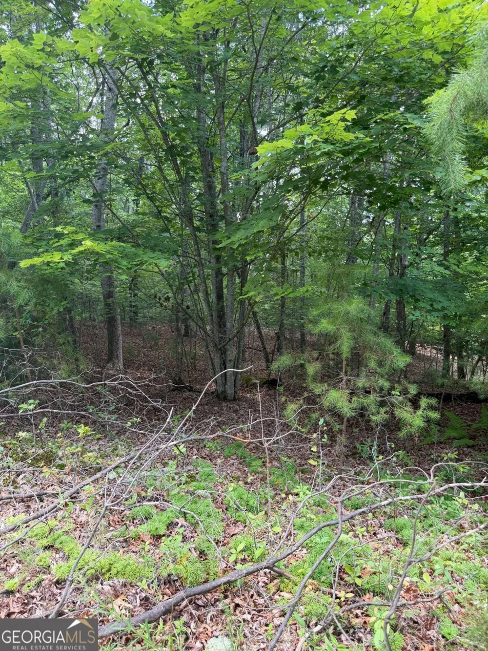 13 Pinnacle CT Blairsville, GA 30512