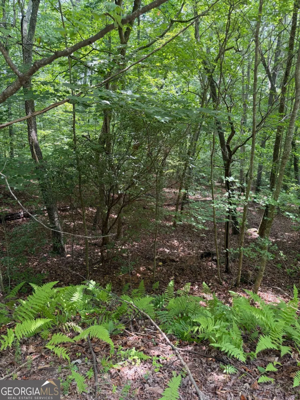 13 Pinnacle CT Blairsville, GA 30512