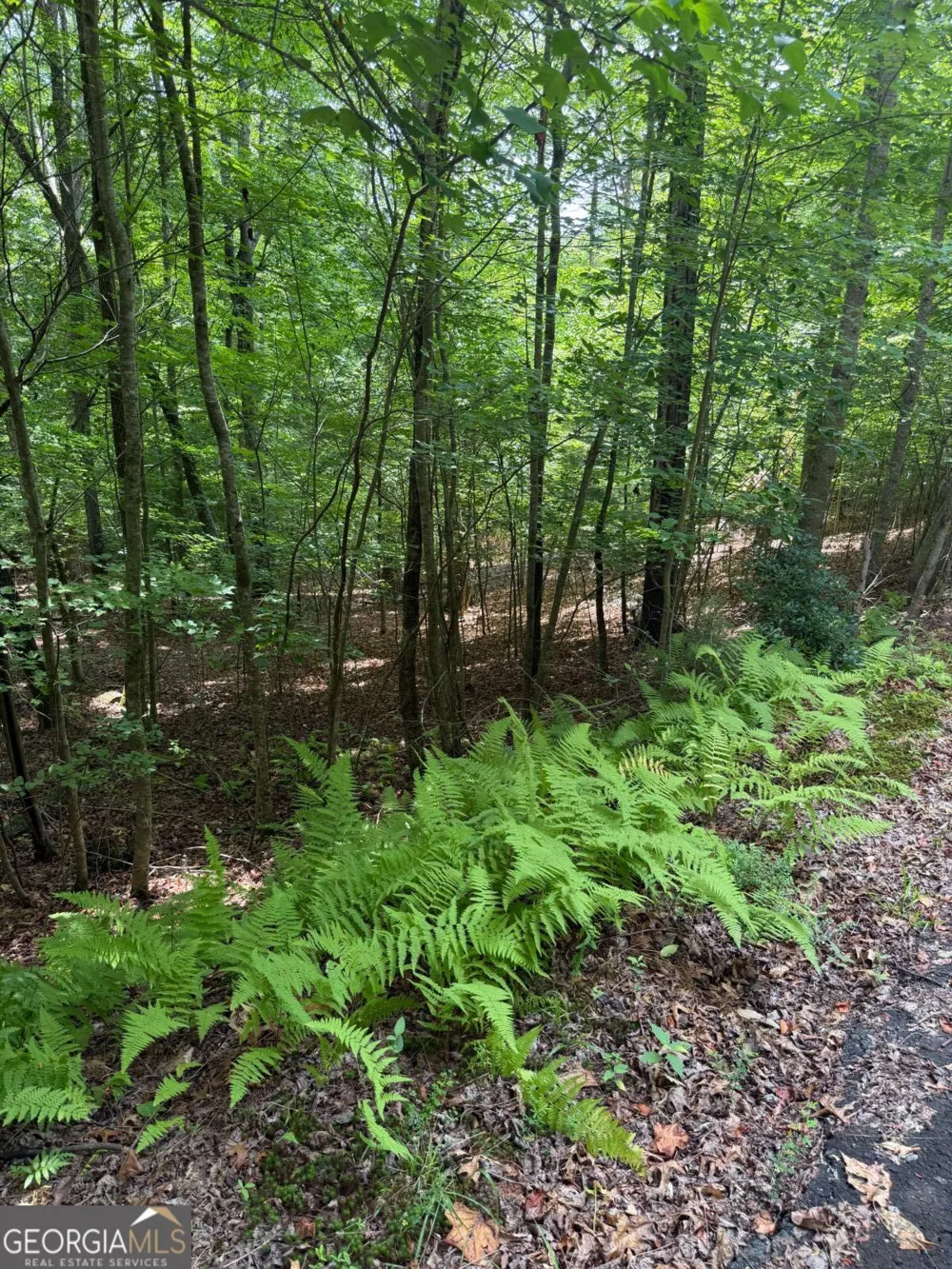 13 Pinnacle CT Blairsville, GA 30512