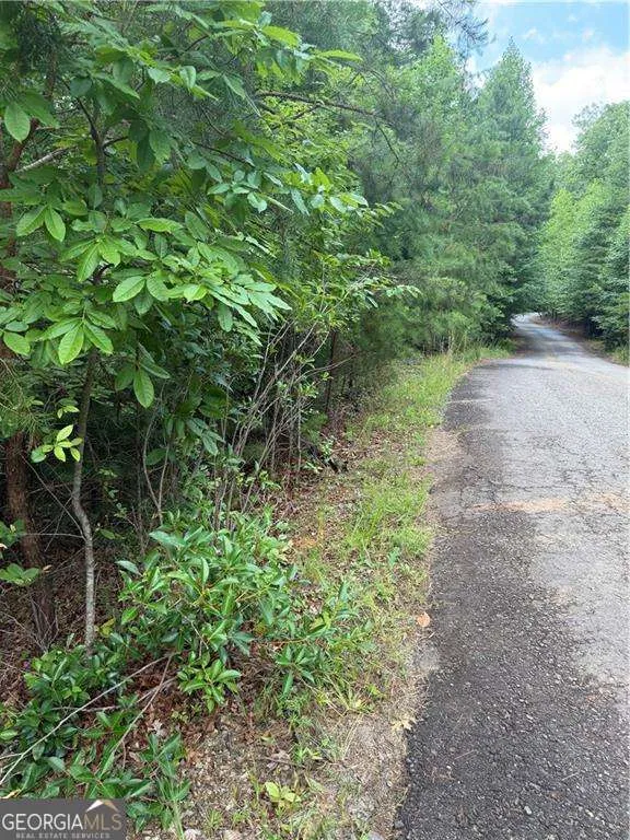 13 Pinnacle CT Blairsville, GA 30512