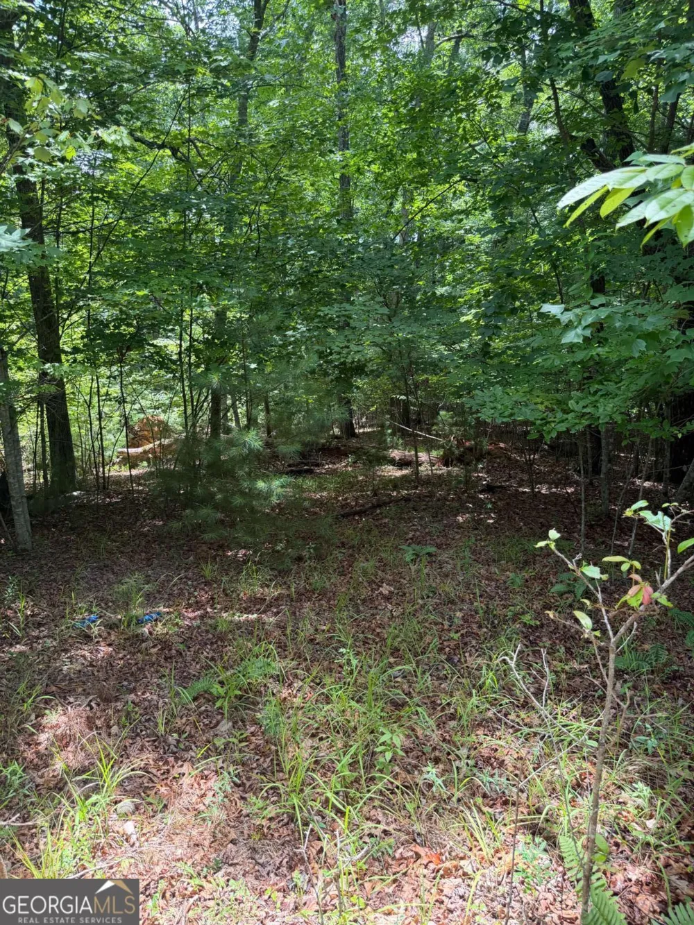 13 Pinnacle CT Blairsville, GA 30512