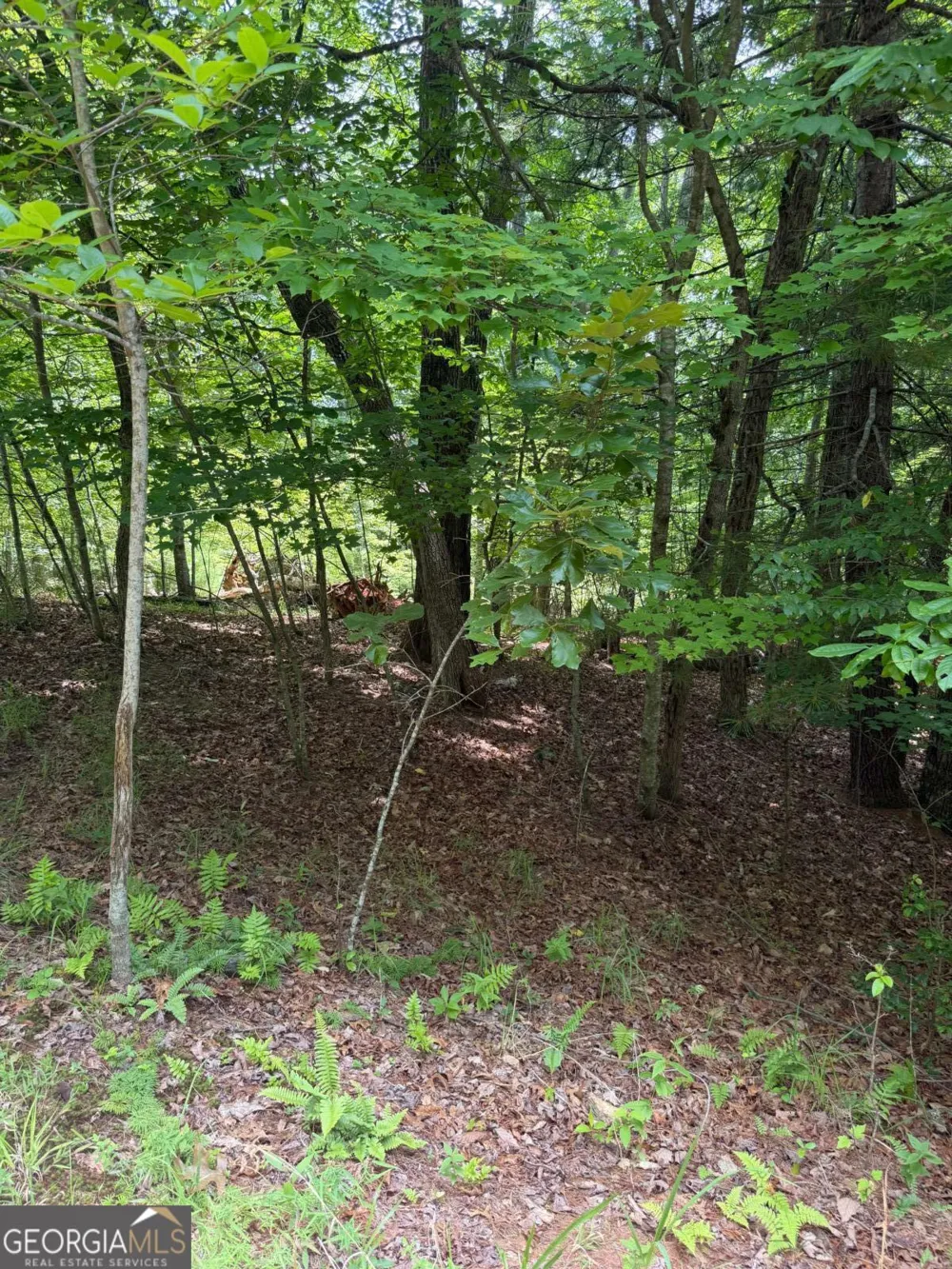 13 Pinnacle CT Blairsville, GA 30512