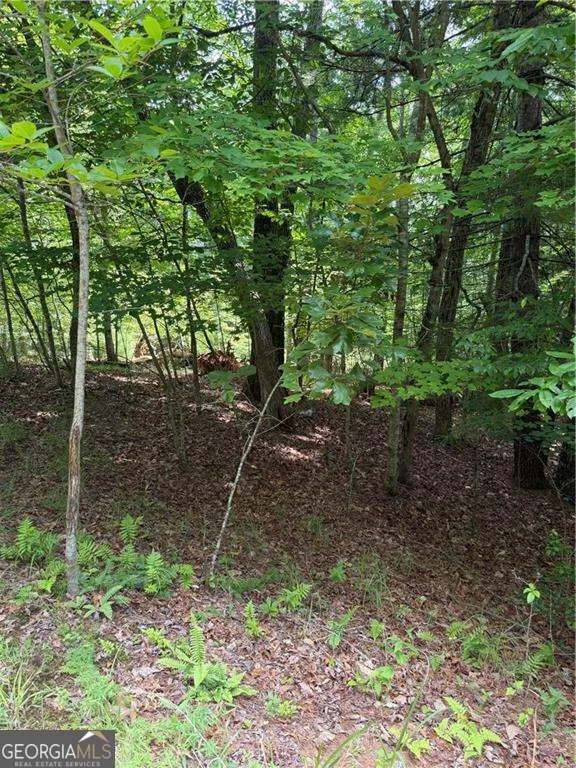 13 Pinnacle CT Blairsville, GA 30512