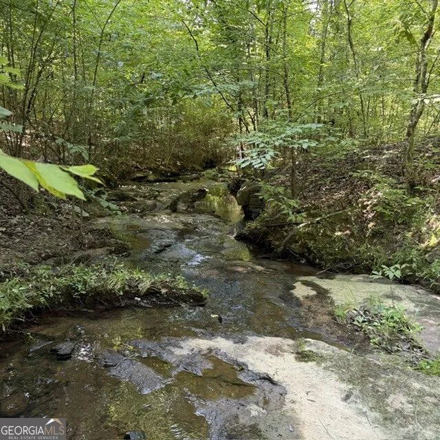 80.61 ACRES Howard Neal RD Junction City, GA 31812