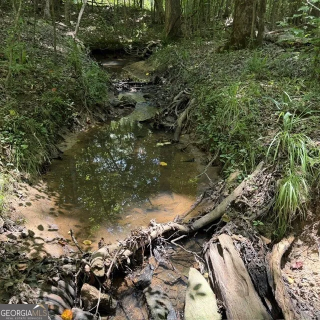 80.61 ACRES Howard Neal RD Junction City, GA 31812