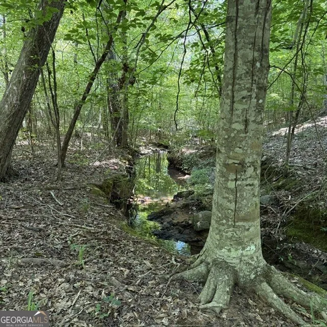 80.61 ACRES Howard Neal RD Junction City, GA 31812