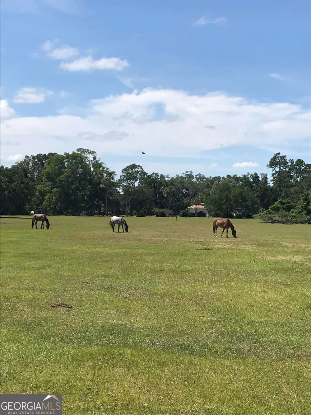 LOT 1021 Becket RD St. Marys, GA 31558