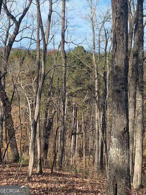 0 Auraria Ridge Dawsonville, GA 30534