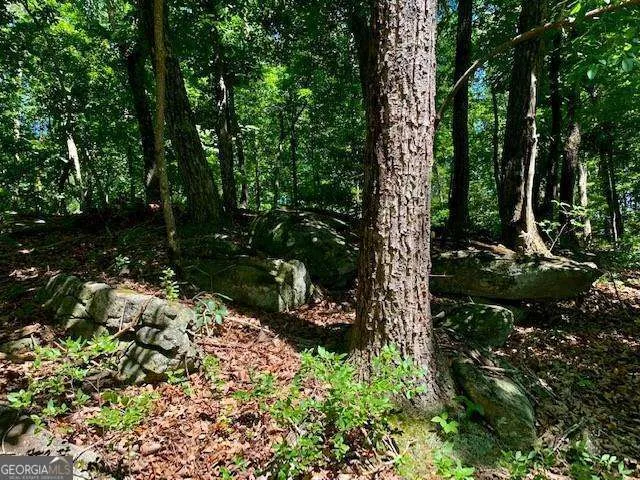 0 Auraria Ridge Dawsonville, GA 30534
