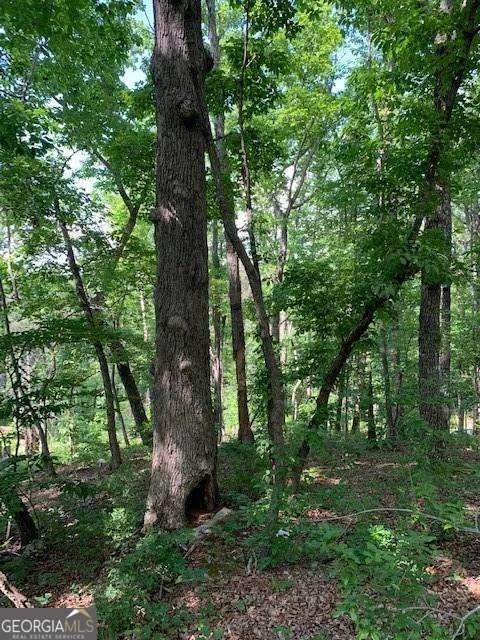 0 Auraria Ridge Dawsonville, GA 30534