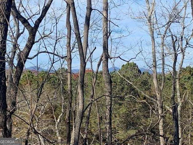 0 Auraria Ridge Dawsonville, GA 30534