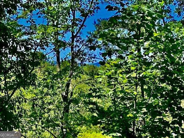 0 Auraria Ridge Dawsonville, GA 30534