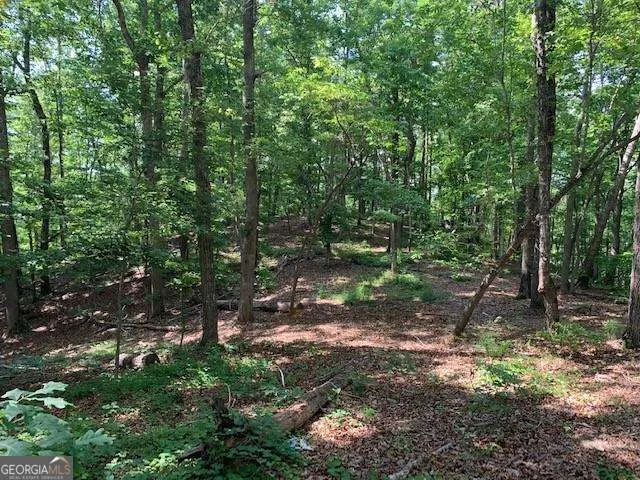 0 Auraria Ridge Dawsonville, GA 30534