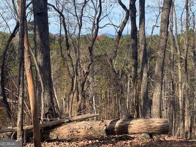0 Auraria Ridge Dawsonville, GA 30534