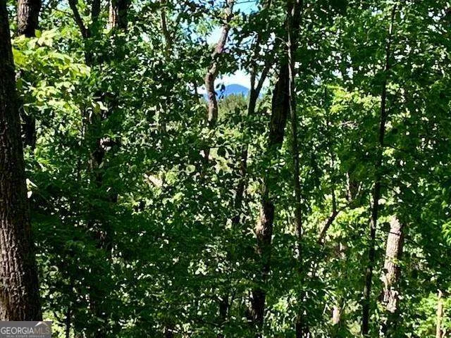 0 Auraria Ridge Dawsonville, GA 30534