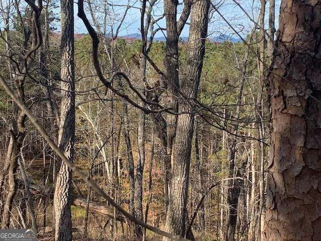 0 Auraria Ridge Dawsonville, GA 30534
