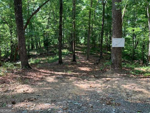 0 Auraria Ridge Dawsonville, GA 30534