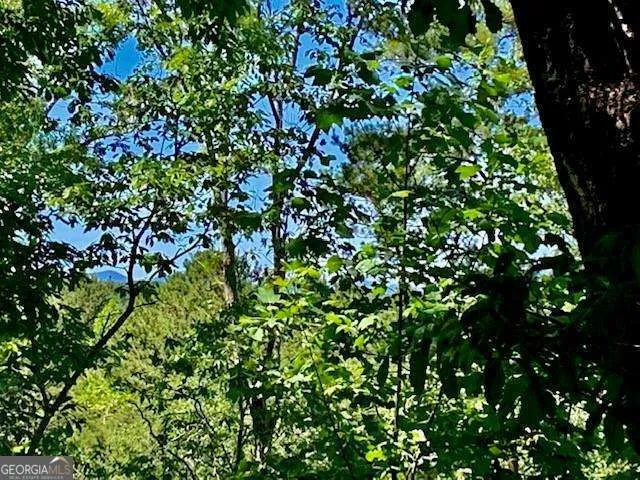 0 Auraria Ridge Dawsonville, GA 30534