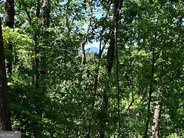 0 Auraria Ridge Dawsonville, GA 30534