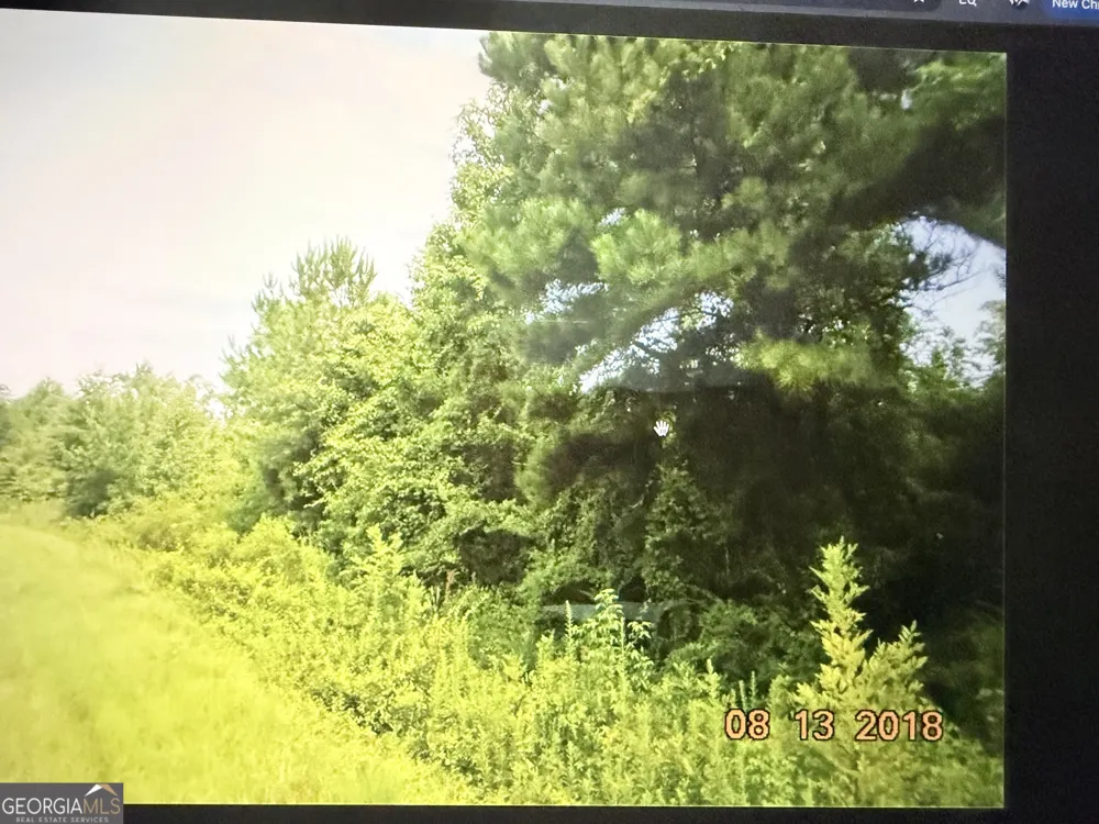 C017-020 Whitaker RD Roberta, GA 31078
