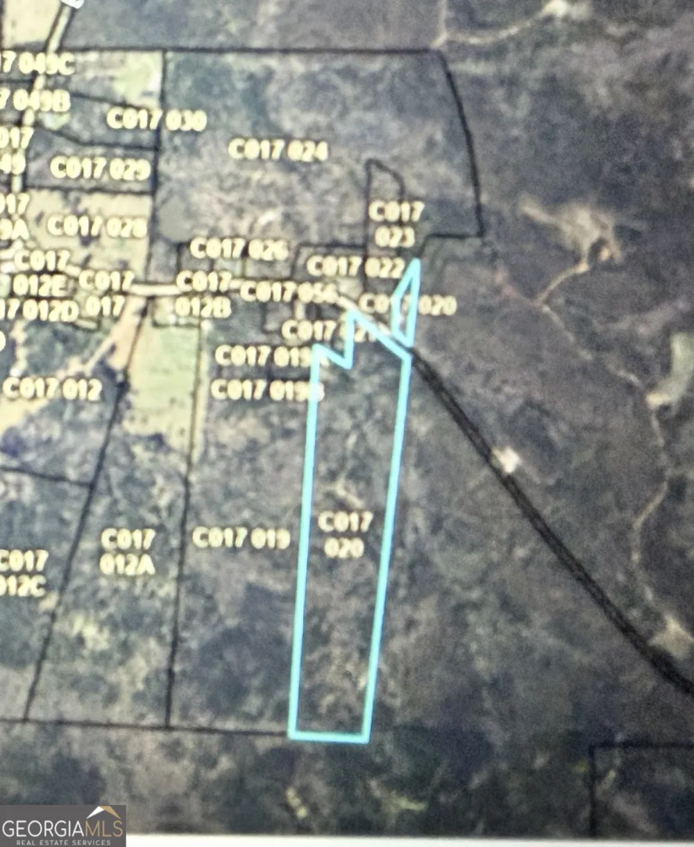 C017-020 Whitaker RD Roberta, GA 31078