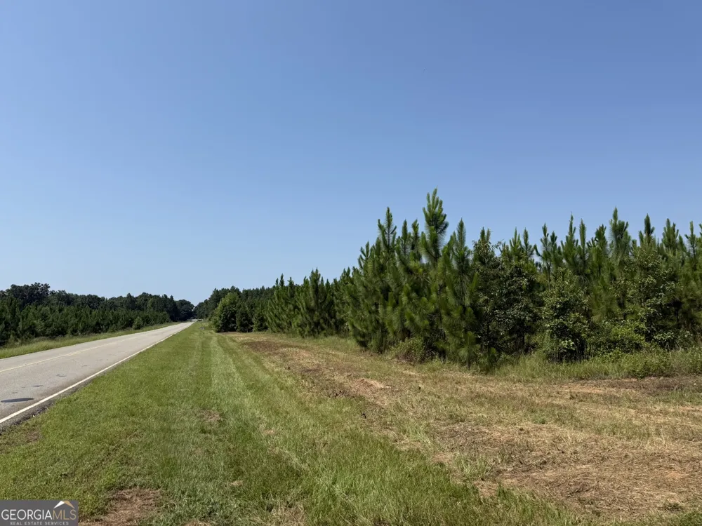 002 Barge RD Lumpkin, GA 31815