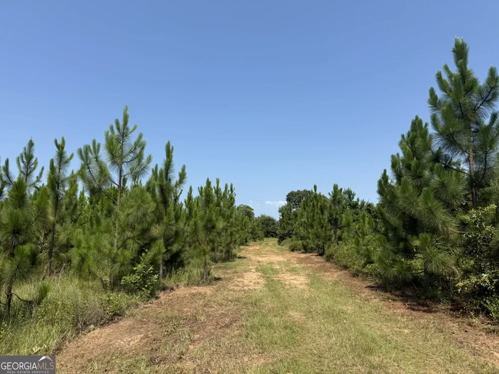 002 Barge RD Lumpkin, GA 31815