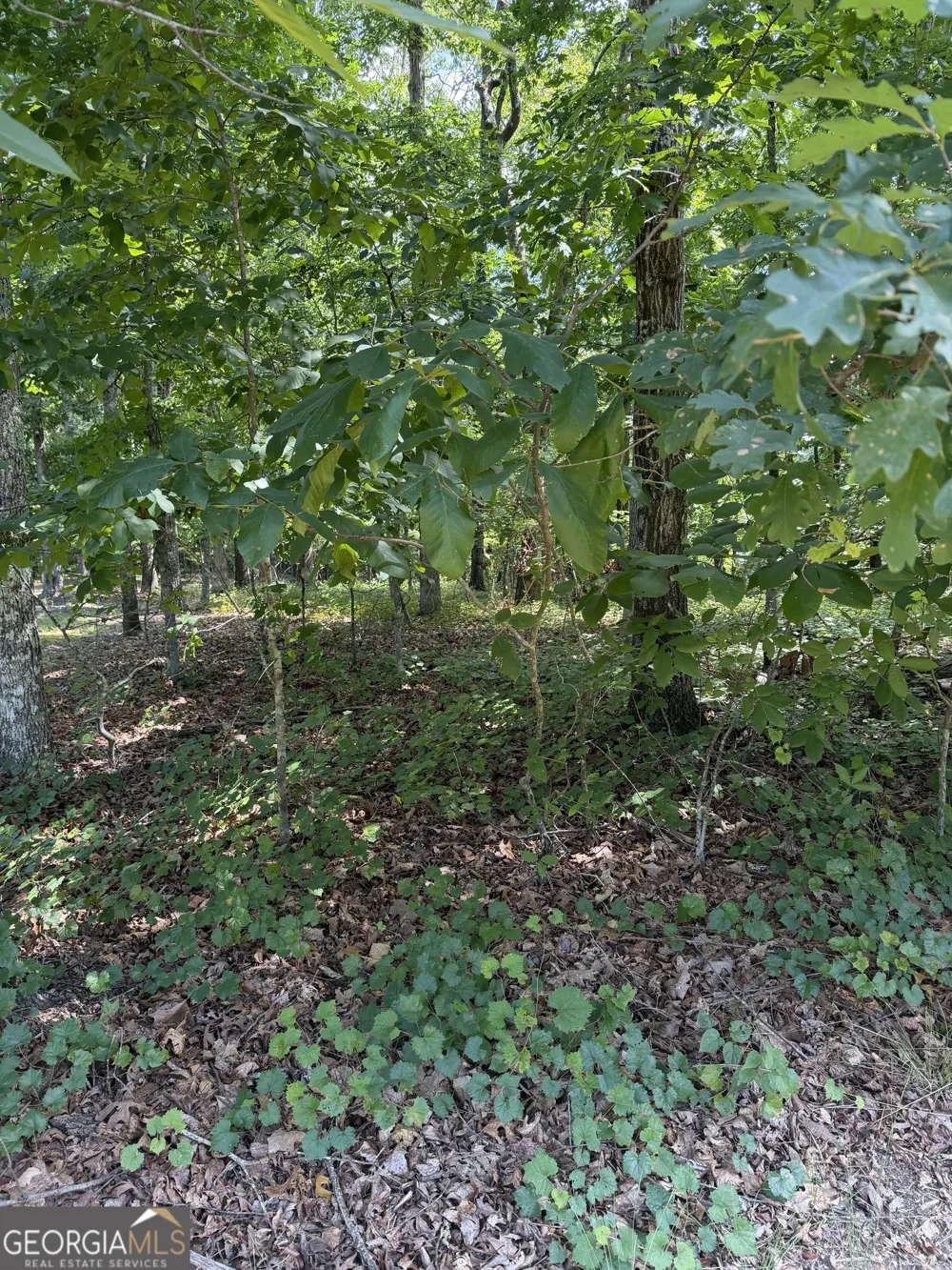3355 Lakeview PKWY Villa Rica, GA 30180