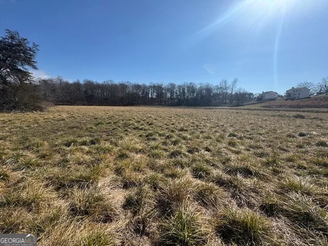 7 ACRES Wheeler RD Demorest, GA 30535