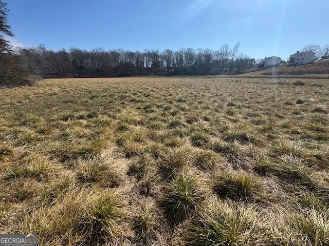 7 ACRES Wheeler RD Demorest, GA 30535