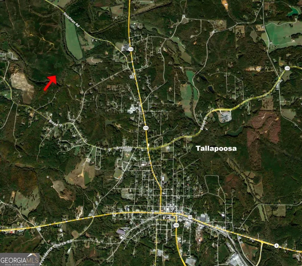 435 Steadman LN Tallapoosa, GA 30176