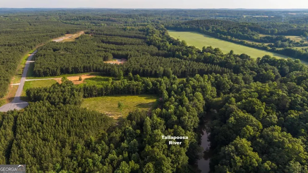 435 Steadman LN Tallapoosa, GA 30176