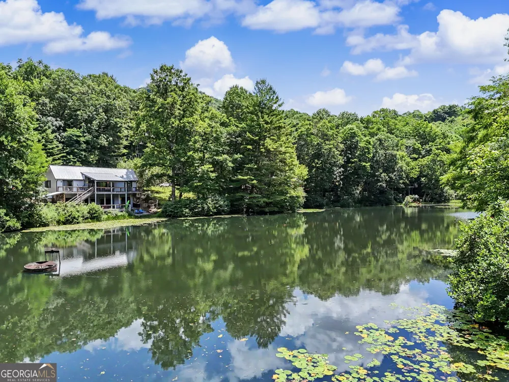 181 Dam Lake DR Dillard, GA 30537