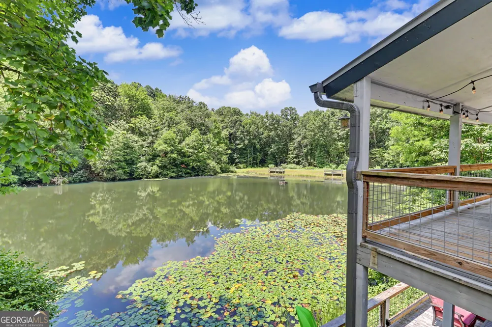 181 Dam Lake DR Dillard, GA 30537