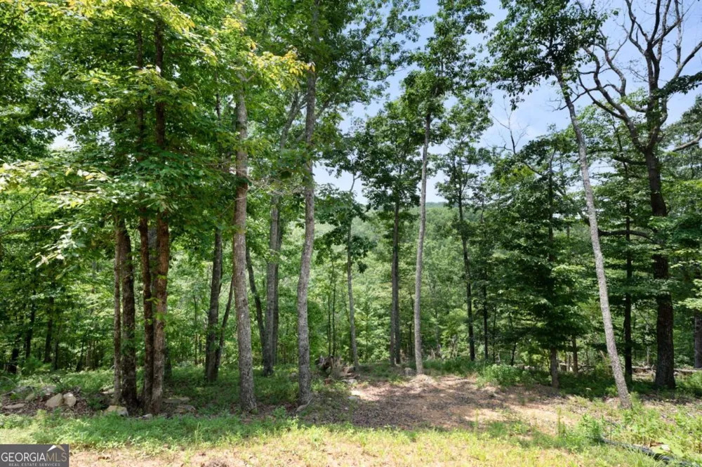 1390 Foxhound TRL NE Ranger, GA 30734