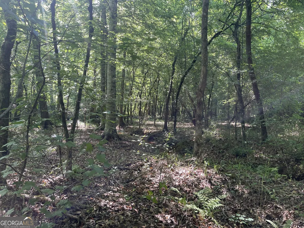 0 Bevis Rd Parcel 7 Franklin, GA 30217